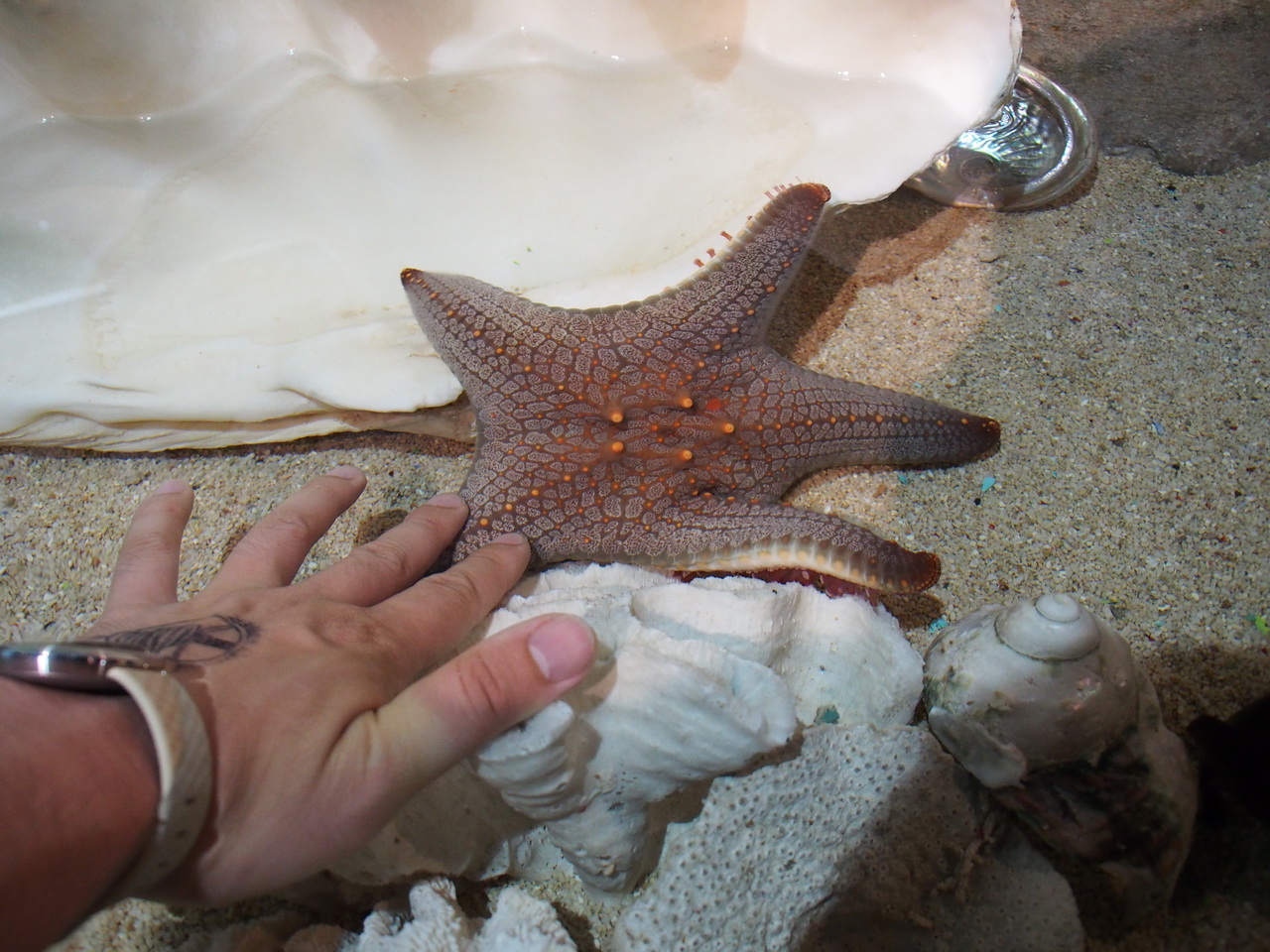 SEA LIFE Sydney Aquarium-Matthew Turner