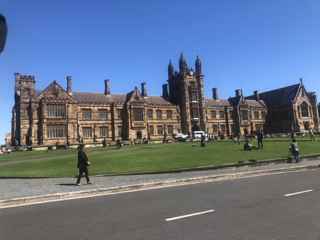 Sydney Uni-Meadow Starrise