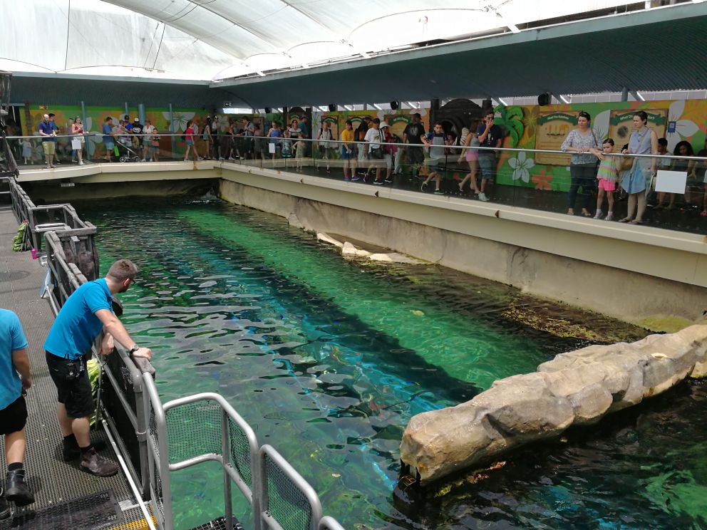 SEA LIFE Sydney Aquarium-Henry Lee