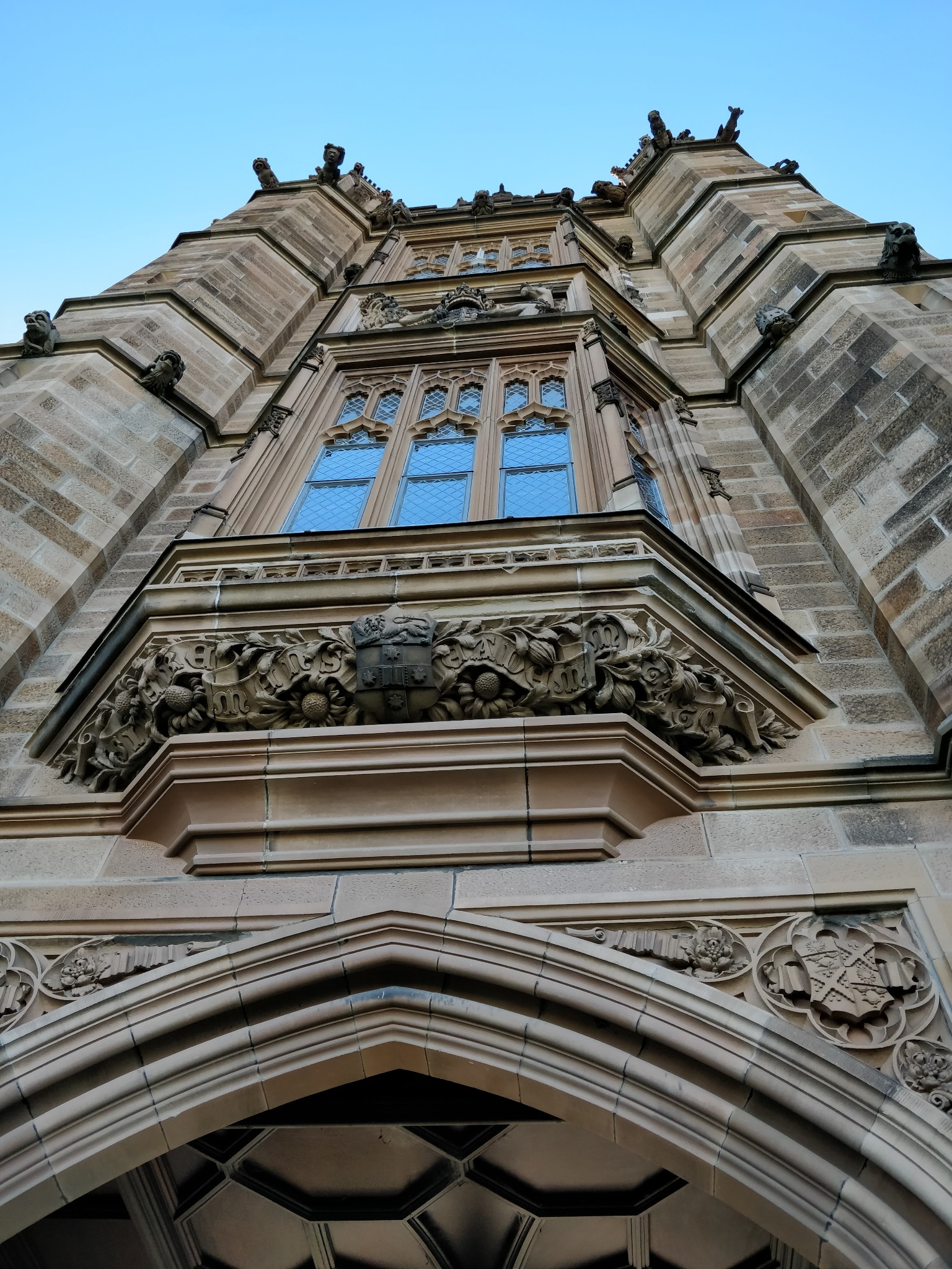 Sydney Uni-Ivy Brightfall