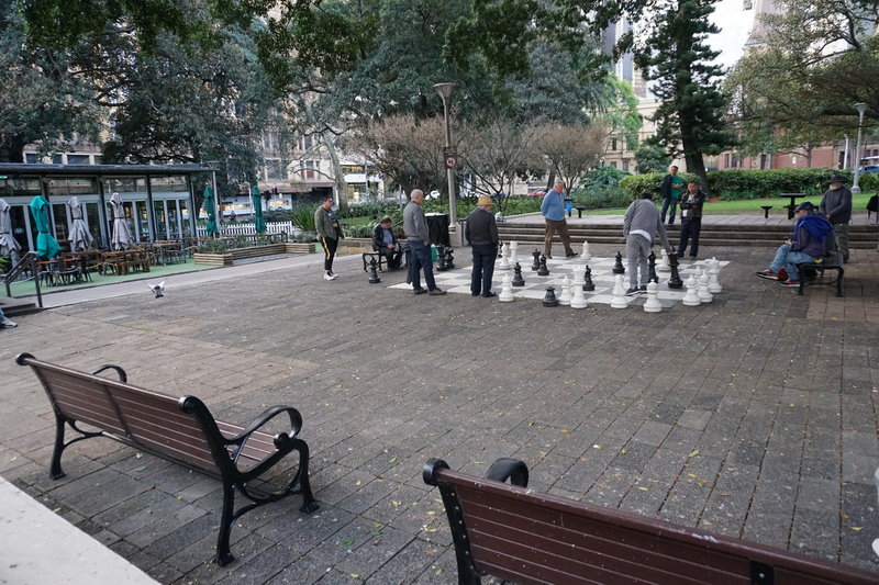 Hyde Park-Sophia Hayes