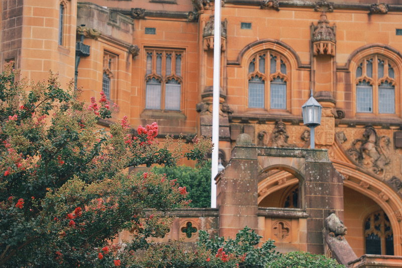 Sydney Uni-Sage Moonlight