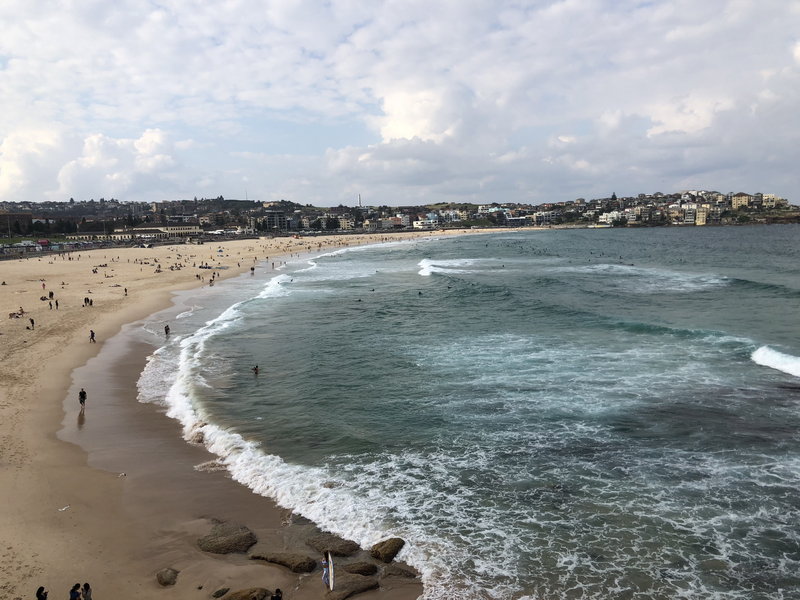 Bondi Beach-Maya Stevens