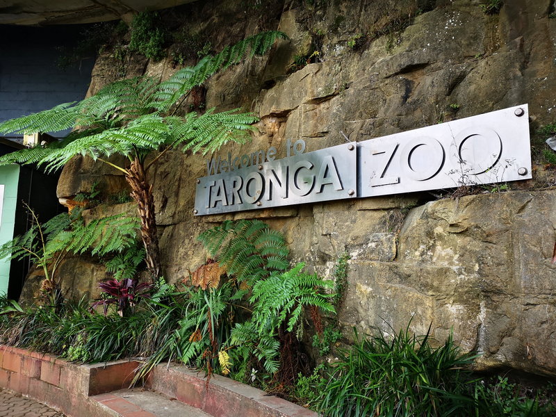 Taronga Zoo-Sage Moonvalley