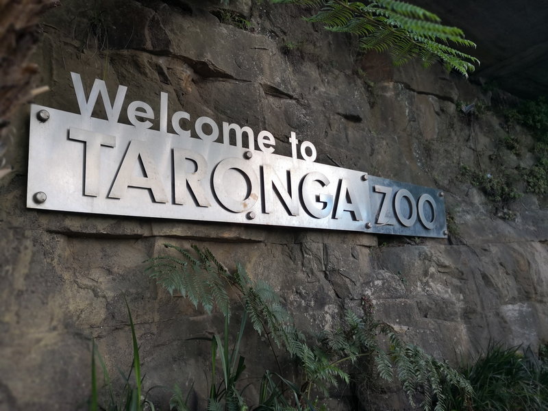 Taronga Zoo-Raven Brightvale