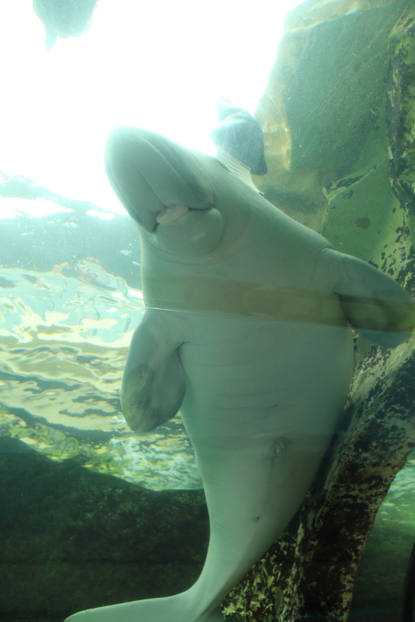 SEA LIFE Sydney Aquarium-Samuel Collins