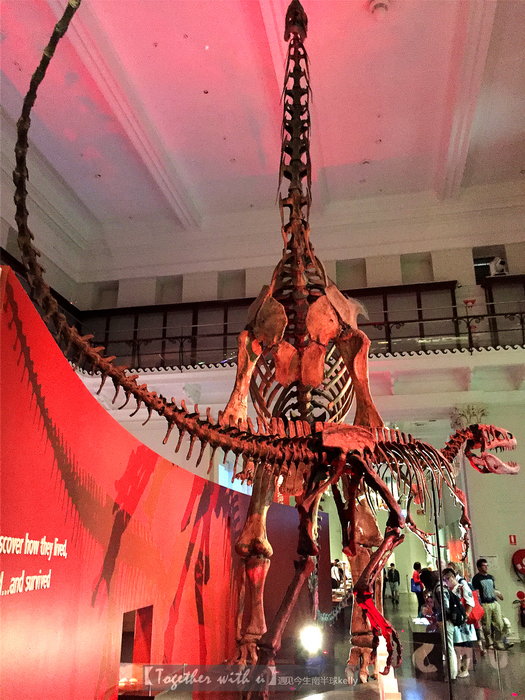 Australian Museum-Caleb Duncan