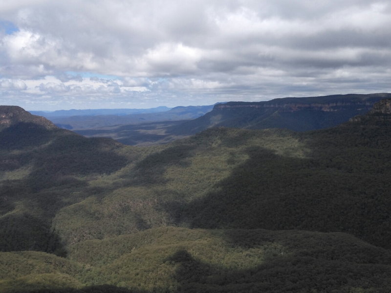 Blue Mountains-Michael Fraser