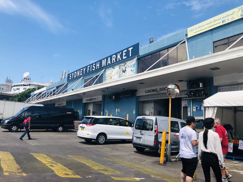 Sydney Fish Market-Charles Price