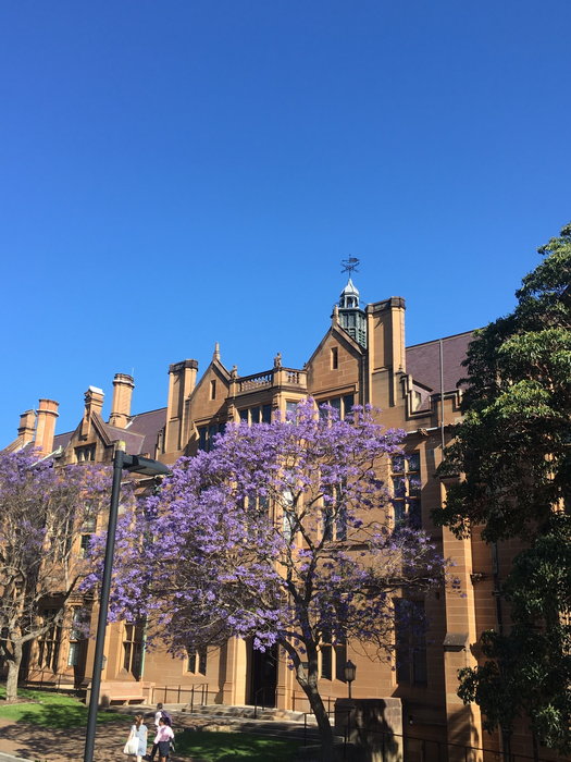 Sydney Uni-Eden Stormlight