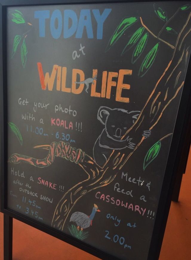 WILD LIFE Sydney Zoo-Faith Coleman