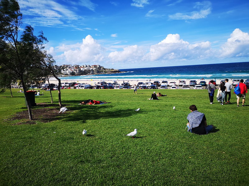 Bondi Beach-Ella Matthews