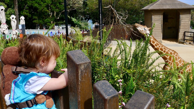 Taronga Zoo-Willow Stormvale