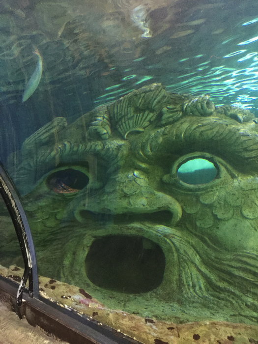 SEA LIFE Sydney Aquarium-Amelia Wright