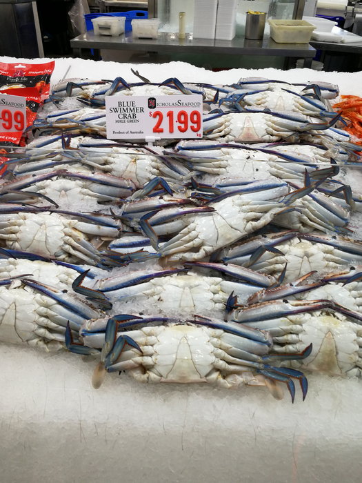 Sydney Fish Market-Eleanor Fisher