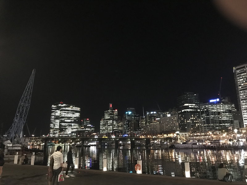 Darling Harbour-Henry Palmer