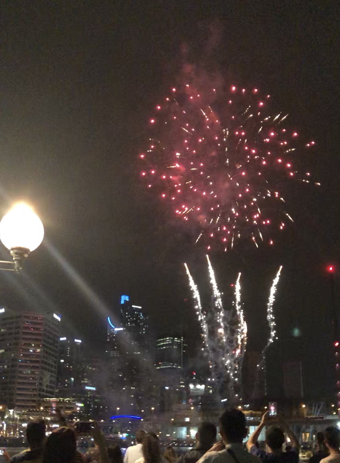 Darling Harbour-Olivia Brown