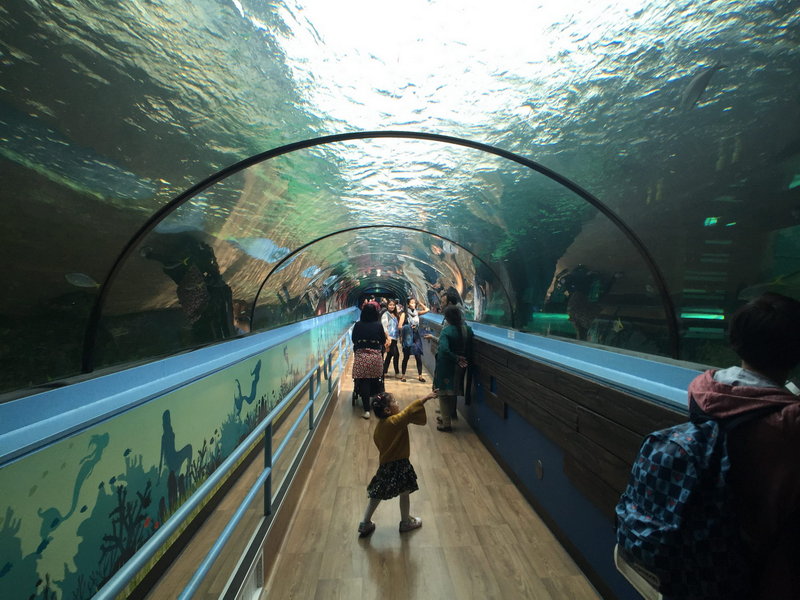 SEA LIFE Sydney Aquarium-Lucas Moore