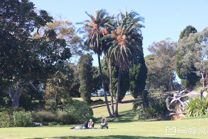 Royal Botanic Garden-Oscar Brooks