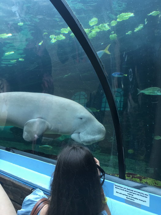 SEA LIFE Sydney Aquarium-Sophia Davis