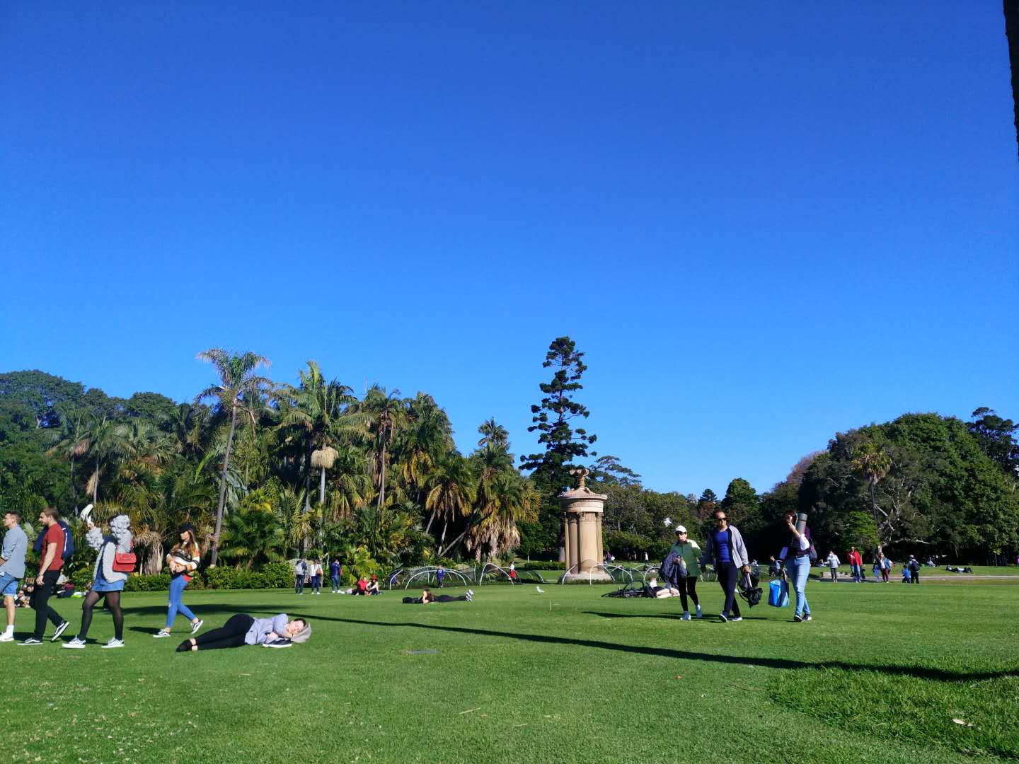 Hyde Park-Ava Morgan