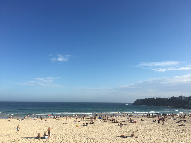 Bondi Beach-Shane Barrett
