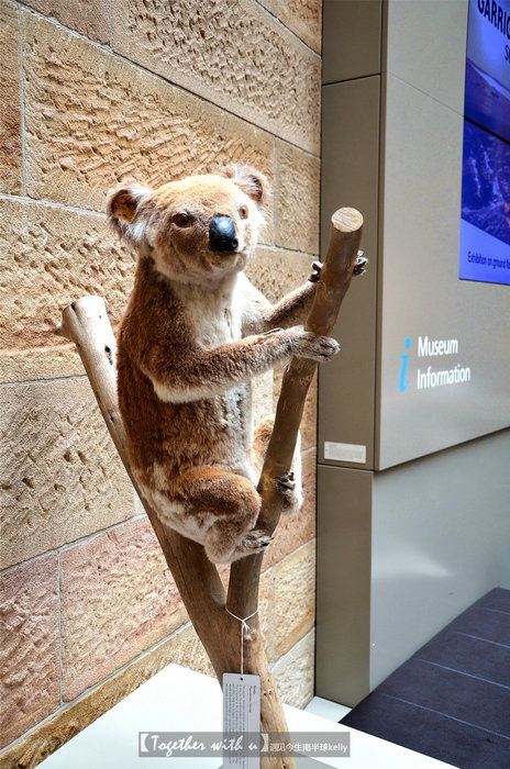 Australian Museum-Caleb Duncan