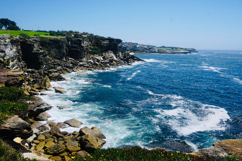 Bondi Beach-Aurora Grant