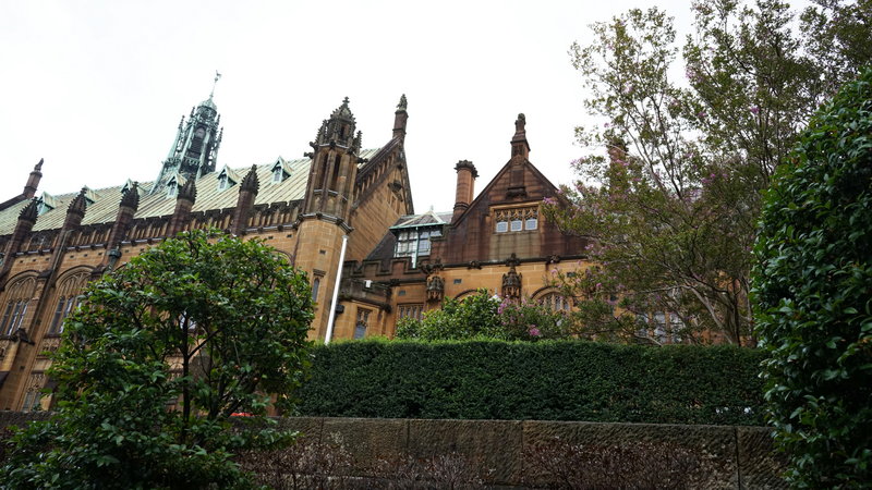 Sydney Uni-Willow Nightspire