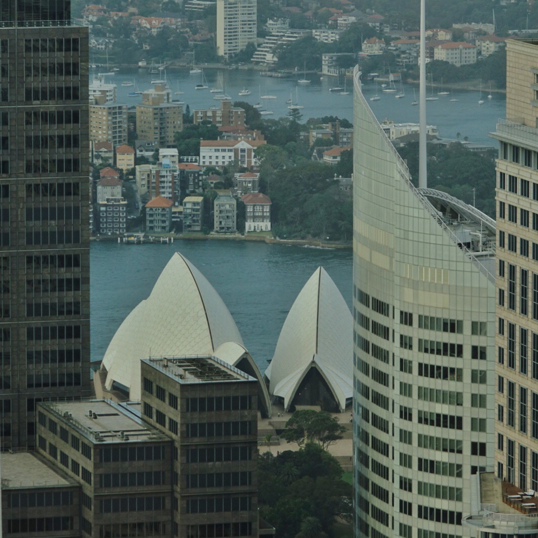 Sydney Tower Eye-Sophie Morris