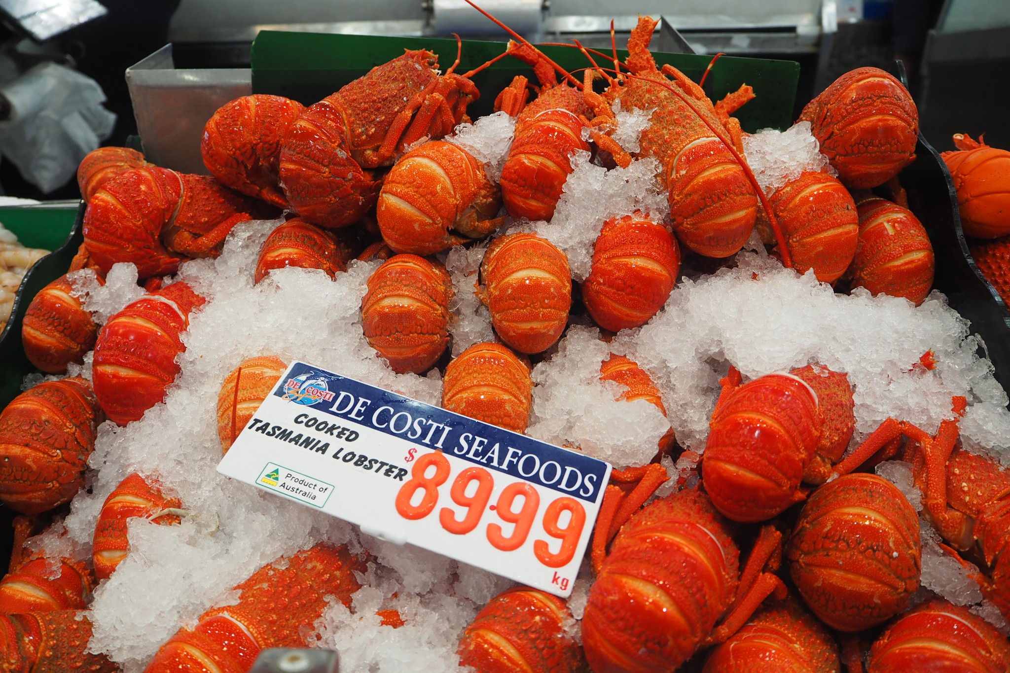 Sydney Fish Market-Nathan Evans