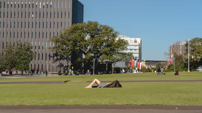 Sydney Uni-Lotus Ravenspire