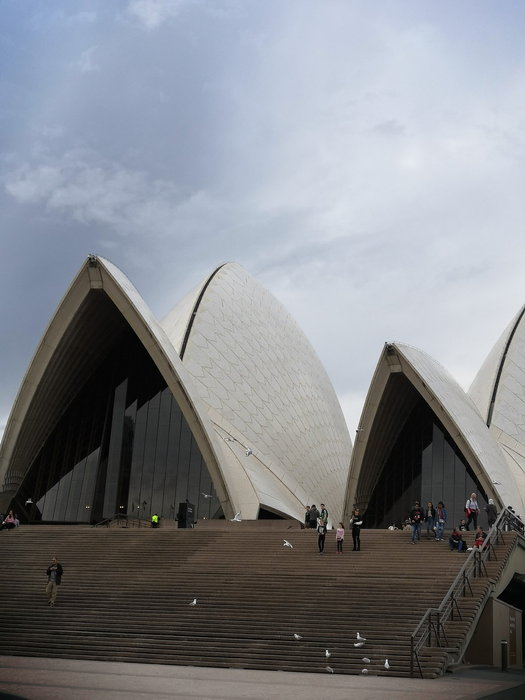 Sydney Opera House-Willow Hayes