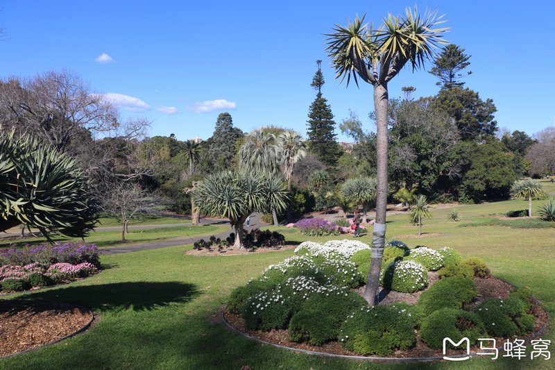 Royal Botanic Garden-Oscar Brooks