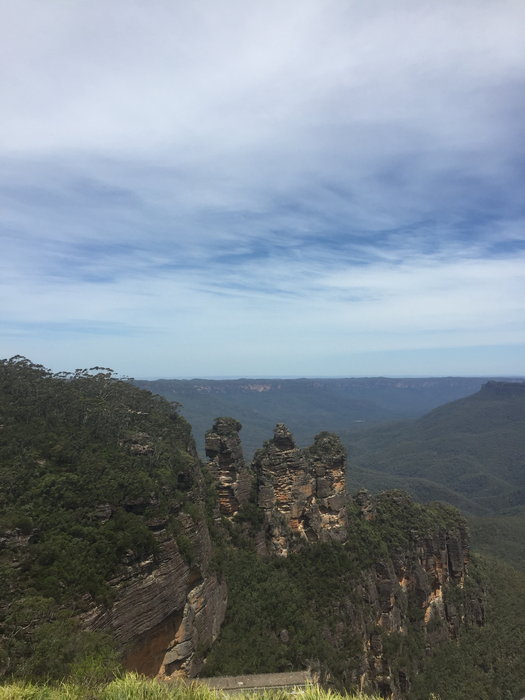Blue Mountains-Charlotte Woods