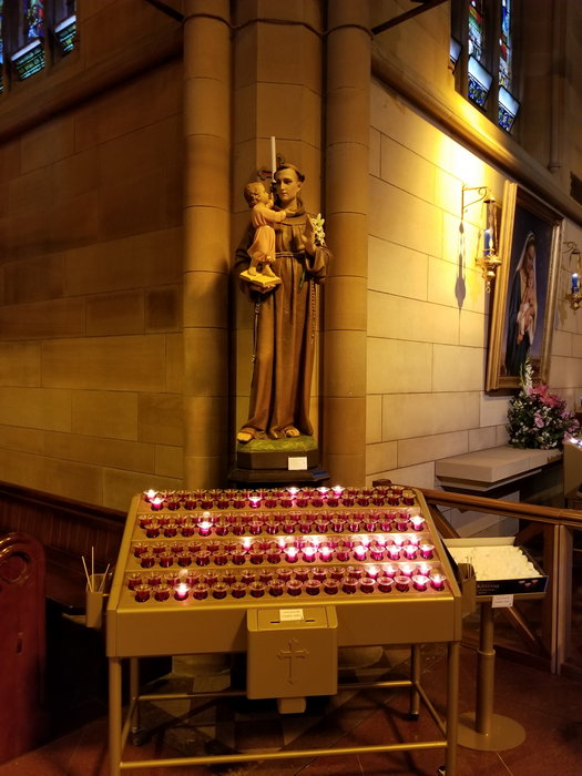 St Mary's Cathedral-Kai Delacroix