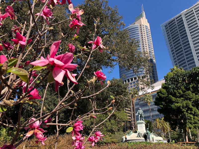 Royal Botanic Garden-Alice Thompson