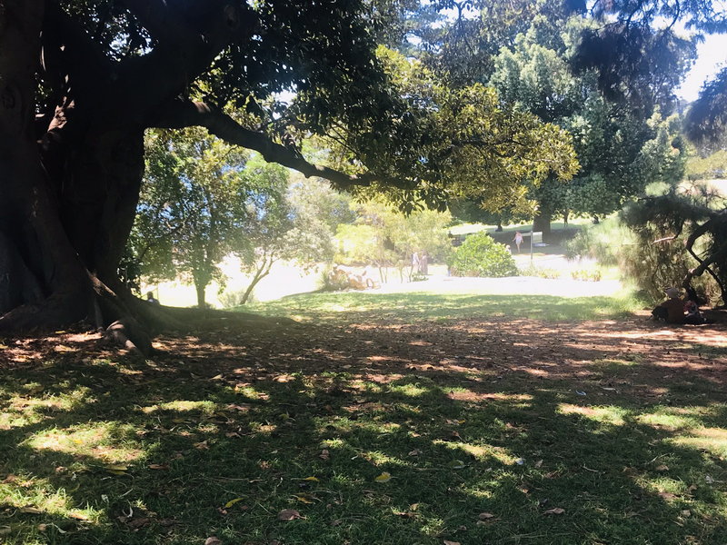 Royal Botanic Garden-Scarlett Hayes