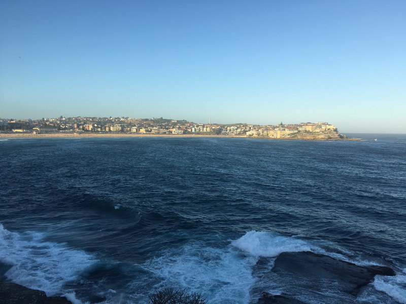 Bondi Beach-Shane Barrett