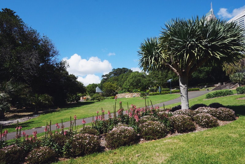 Royal Botanic Garden-Colin Torres