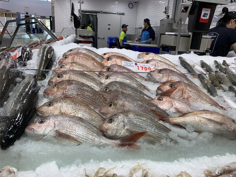 Sydney Fish Market-Abigail Woods