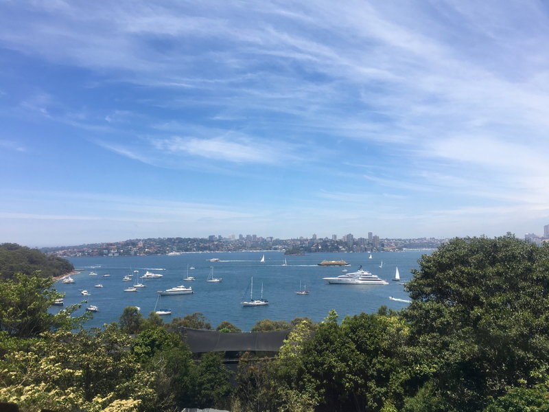 Taronga Zoo-Storm Nighthollow