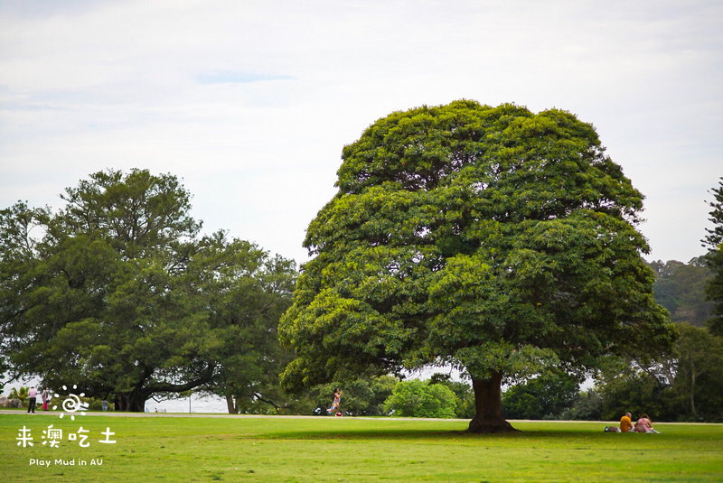 Royal Botanic Garden-Samantha Morgan