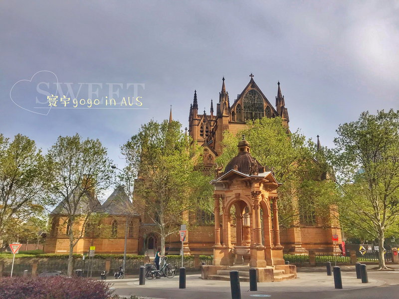 St Mary's Cathedral-Maya Donovan