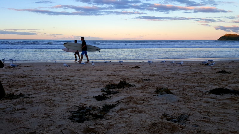 Manly Beach-Ella Blackwood