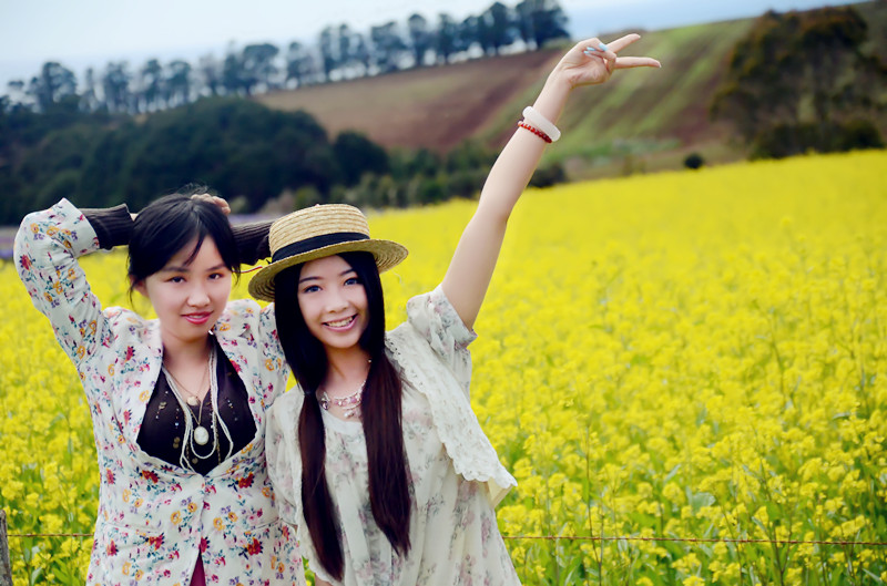 Tasmania's Rotterdam and Provence~