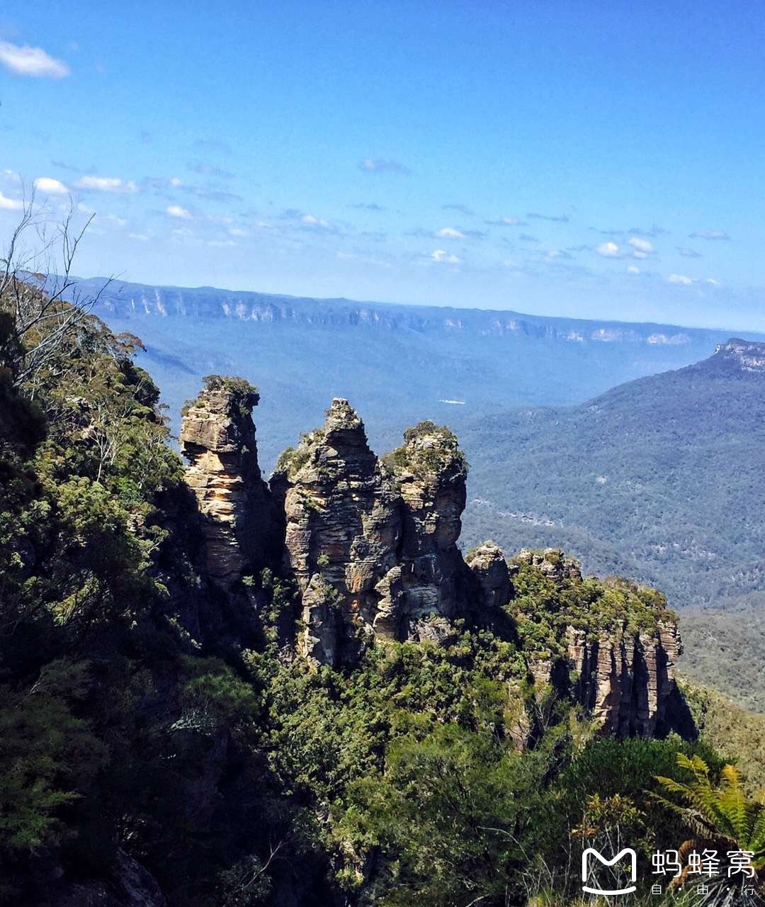 Blue Mountains-Charlotte Griffin