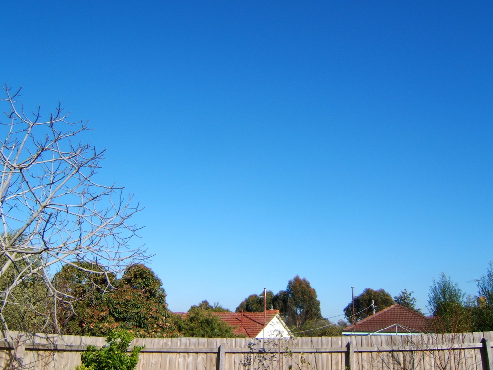 That Unforgettable Shade of Blue (Melbourne Impressions: Blue Skies)