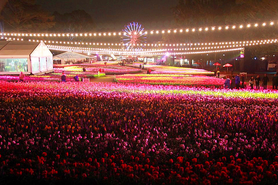 I love Canberra, and I love Floriade!