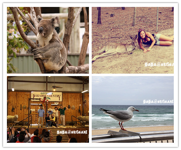 Surprises on the Gold Coast, Brisbane Is Anything but Ordinary